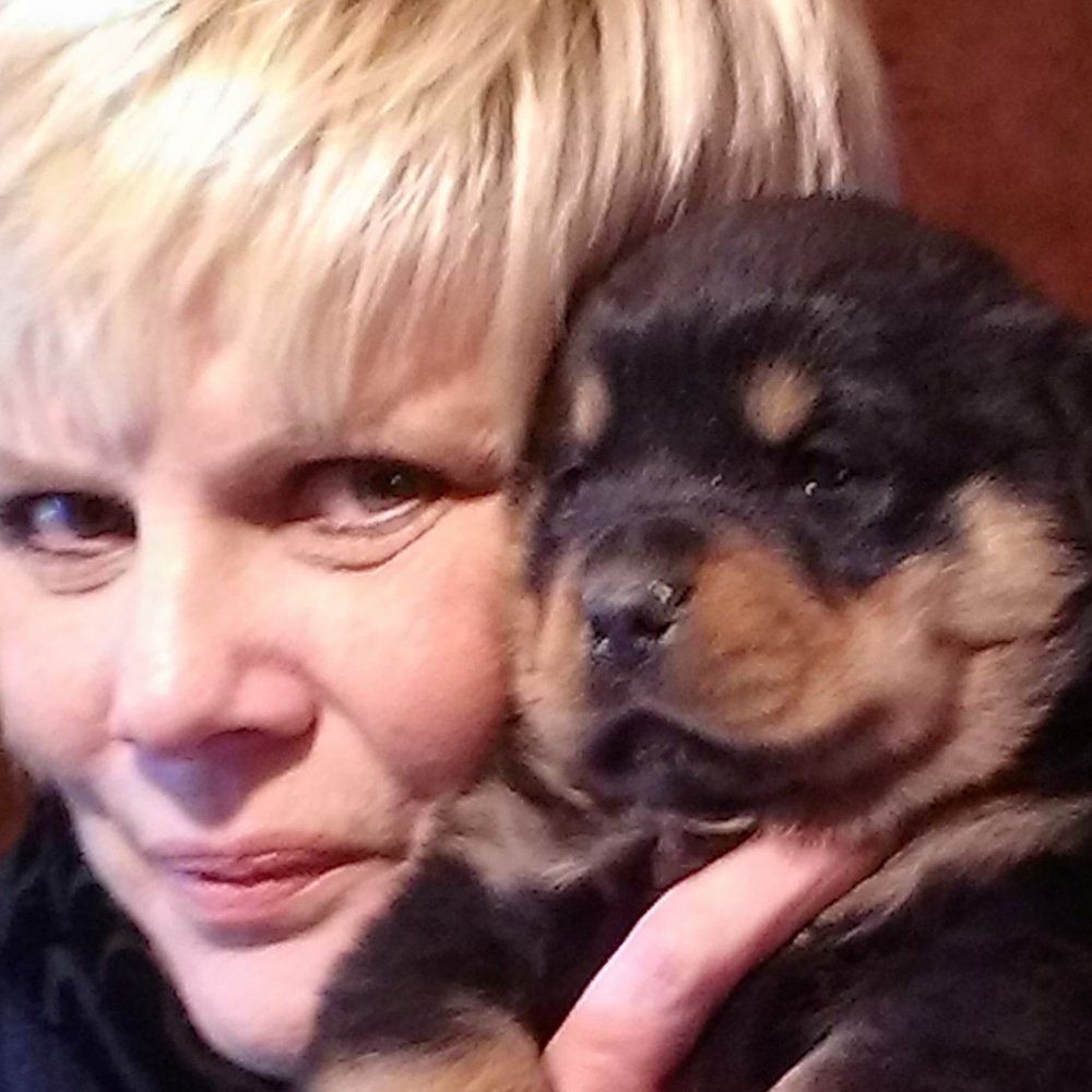 Meet your Posher, Shaun n lizz